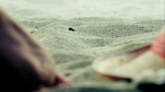 Video Reference: Sand, Close-up, Sky, Rock, Hand, Photography, Longboard