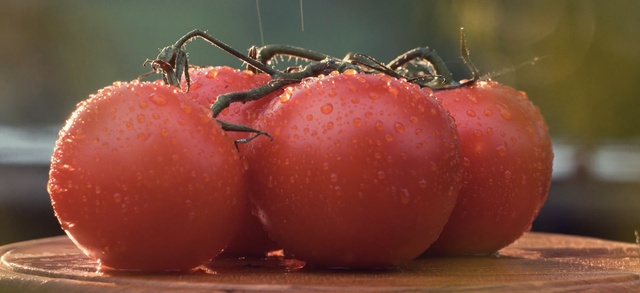 Video Reference: natural foods, tomato, fruit, potato and tomato genus, local food, vegetable, plum tomato, close up, produce, macro photography