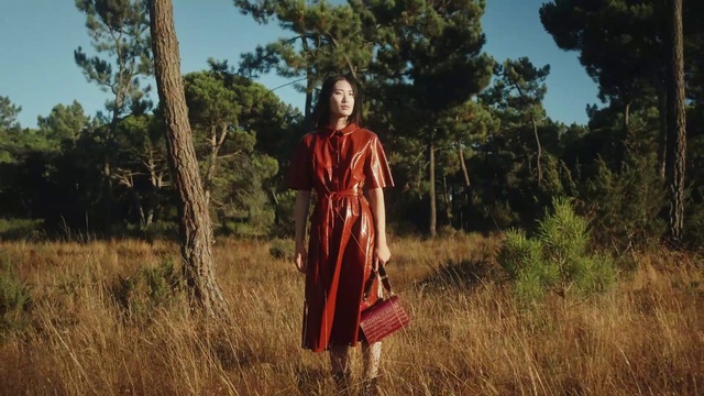 Video Reference: Grass family, Outerwear, Grass, Tree, Adaptation, Dress, Photography, Plant, Fawn, Grassland