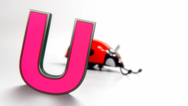 Video Reference: Pink, Magenta, Material property, Font, Fashion accessory, Logo