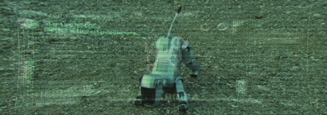 Video Reference: Green, Grass, Tree, Lawn, Vehicle, Plant, Soil, Machine