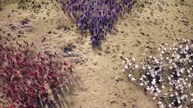 Video Reference: Lavender, Plant, Flower, Soil, Lavender, Geological phenomenon, Wildflower, Person