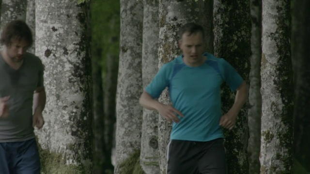 Video Reference: Green, Photograph, Nature, Woodland, Tree, Natural environment, Forest, Standing, Woody plant, Old-growth forest