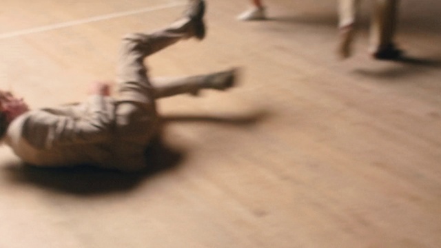 Video Reference: Floor, Flooring, Leg, Hardwood, Wood, Wood flooring, Tail, Art, Cat, Fur