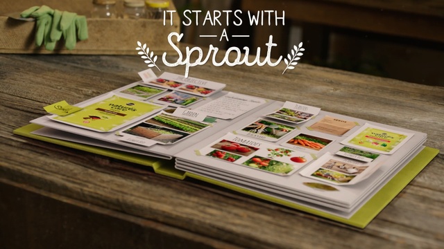 Video Reference: Food, Cuisine, Comfort food, À la carte food, Dish, Meal, Recipe, Table, Vegetarian food, Finger food