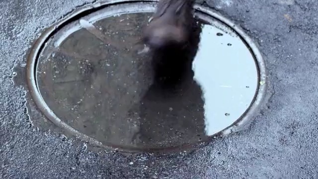 Video Reference: water, asphalt, automotive tire, puddle, tar