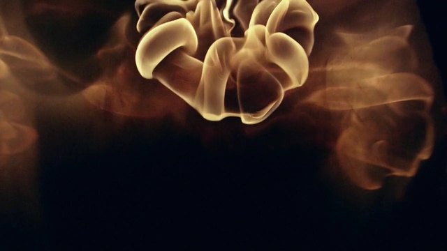 Video Reference: computer wallpaper, human, organ, organism, smoke, darkness, jaw, petal