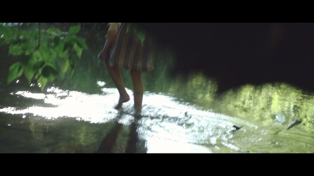 Video Reference: Nature, Green, Water, Tree, Sunlight, Photography, Organism, Grass, Forest, Wildlife