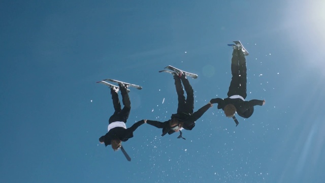 Video Reference: Bird, Sky, Seabird, Flip (acrobatic), Beak, Flightless bird