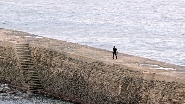Video Reference: sea, coast, shore, ocean, coastal and oceanic landforms, beach, sky, breakwater, wood, cliff, Person