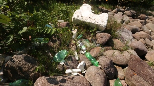 Video Reference: Rock, Botany, Pond, Plant, Garden, Watercourse, Landscape, Boulder, Water feature