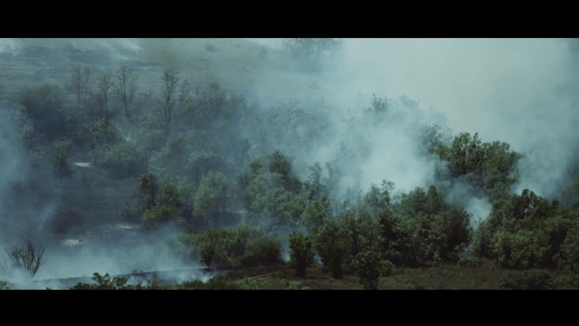 Video Reference: Nature, Atmospheric phenomenon, Vegetation, Smoke, Atmosphere, Sky, Natural environment, Forest, Tree, Mist