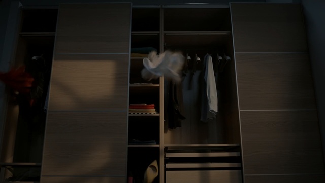 Video Reference: room, wardrobe, darkness, furniture, door, window, closet, interior design