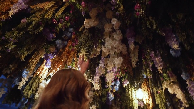 Video Reference: Nature, Tree, Lighting, Purple, Violet, Branch, Plant, Night, Flower, Spring