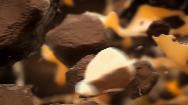 Video Reference: Fawn