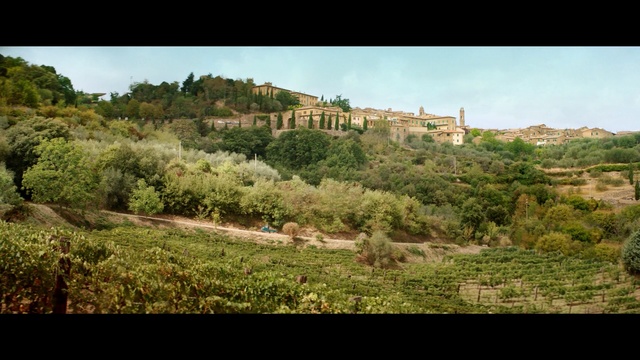 Video Reference: Vegetation, Nature, Shrubland, Plant community, Land lot, Hill station, Wilderness, Biome, Rural area, Village