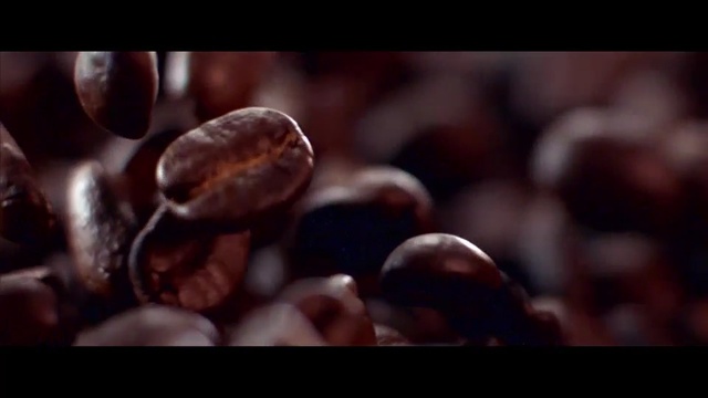 Video Reference: Chestnut, Nut, Macro photography, Close-up, Photography, Still life photography, Organism, Superfood, Plant, Food