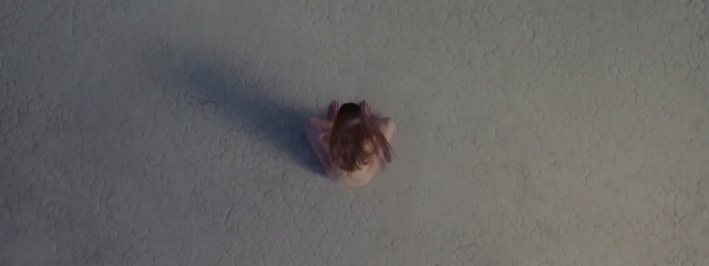 Video Reference: fauna, atmosphere, close up, organism, pest, invertebrate, parasite, insect