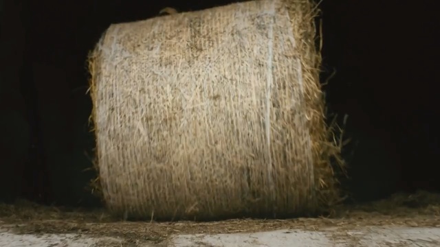 Video Reference: hay, straw, wood, grass, grass family