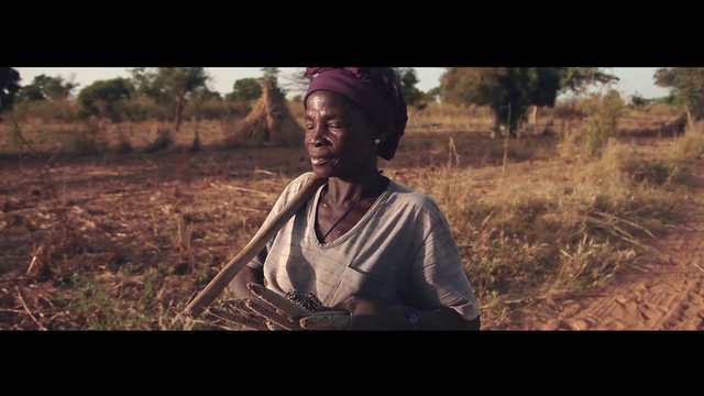 Video Reference: people, screenshot, soil, agriculture, crop, tree, girl, harvest, grass family, grass