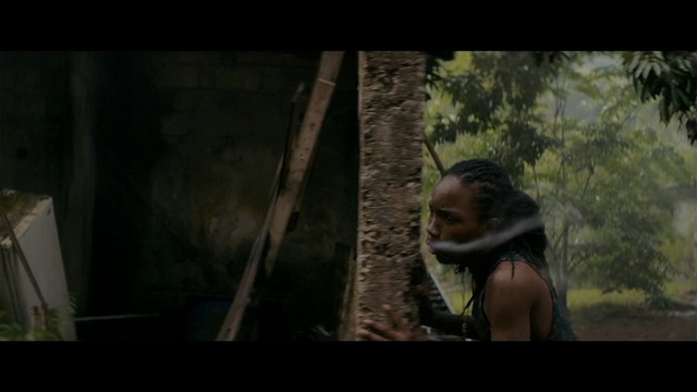 Video Reference: Natural environment, Darkness, Tree, Jungle, Forest, Woodland, Movie, Human, Screenshot, Photography