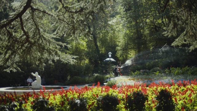 Video Reference: Nature, Botanical garden, Garden, Tree, Botany, Plant, Shrub, Leaf, Park, Landscape