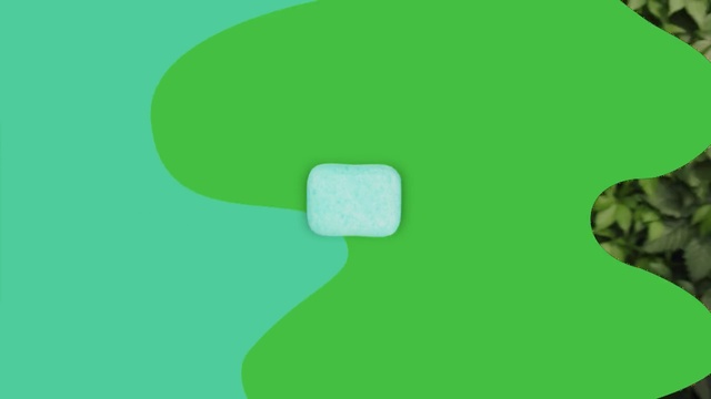 Video Reference: green, grass, leaf, organism, plant, font, computer wallpaper, angle, graphics