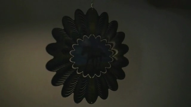 Video Reference: flower, petal, flora, still life photography, computer wallpaper, symmetry