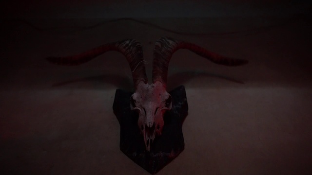 Video Reference: Horn, Organism, Flesh, Symmetry, Dinosaur, Skull