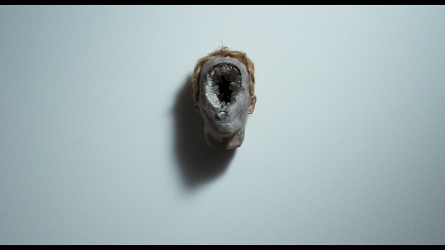 Video Reference: close up, fauna, macro photography, eye, organism, snout, jaw