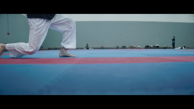 Video Reference: Blue, Karate, Mat, Martial arts, Individual sports, Japanese martial arts, Contact sport, Daitō-ryū aiki-jūjutsu, Floor, Striking combat sports