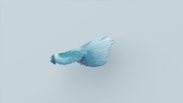 Video Reference: Blue, Turquoise, Feather, Wing