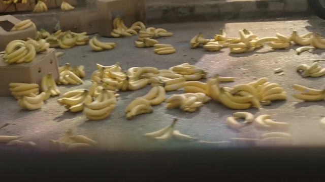 Video Reference: Food, Cuisine, Dish, Ingredient, Baking