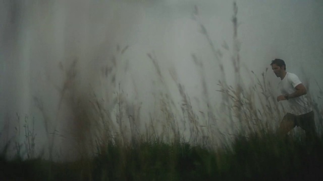 Video Reference: Photograph, Atmospheric phenomenon, Mist, Grass, Haze, Wall, Painting, Art, Drawing, Fog