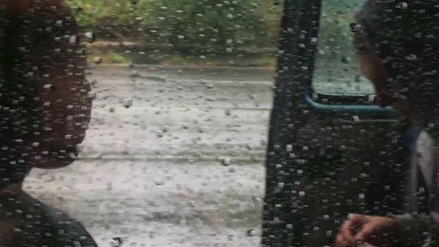 Video Reference: Rain, Tree, Tints and shades, Drizzle, Precipitation