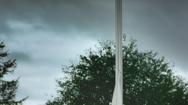 Video Reference: Sky, Tree, Lighting, Cloud, Pole, Light fixture, Street light, Wind, Architecture, Plant