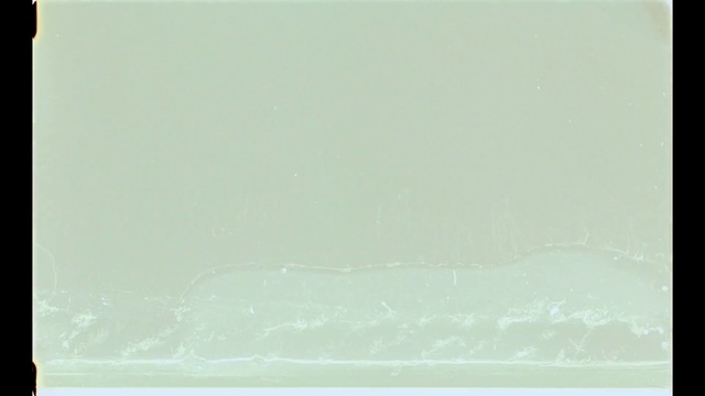 Video Reference: Green, Atmospheric phenomenon, Sky, Water, Man, Riding, Standing, White, Sitting, Monitor, Large, Holding, Table, Woman, Young, Skiing, Surfing, Bird, Ocean, Dog, Street, Wave, Text, Fog