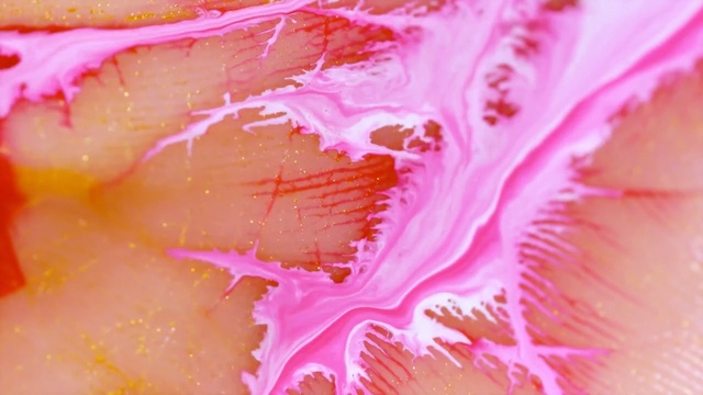 Video Reference: Pink, Close-up, Petal, Peach, Plant, Flower, Flesh
