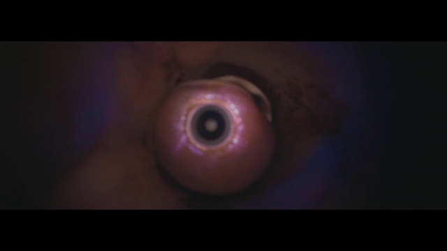 Video Reference: Iris, Eye, Close-up, Macro photography, Organ, Ear, Darkness, Organism, Flesh, Mouth