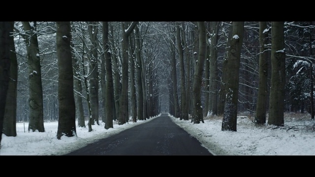 Video Reference: Snow, Tree, Winter, Forest, Nature, Woodland, Natural environment, Photograph, Black, Monochrome photography, Person