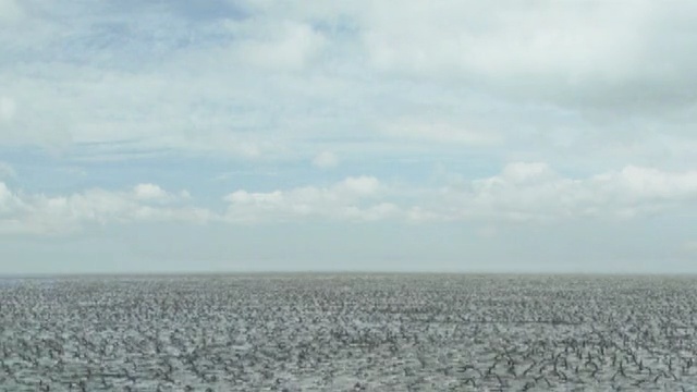 Video Reference: sky, horizon, ecosystem, field, ecoregion, tundra, plain, cloud, steppe, grass family