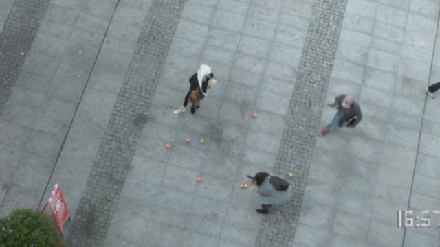 Video Reference: Sidewalk, Road surface, Pigeons and doves, Bird, Floor, Person, Male
