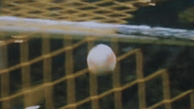 Video Reference: Pattern, Design, Net, Textile