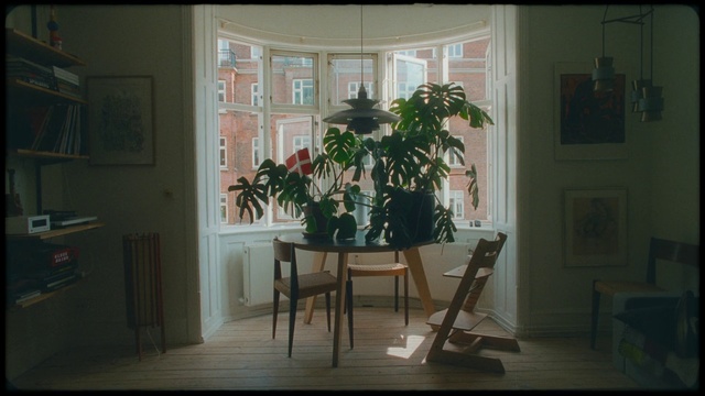Video Reference: Room, Houseplant, Furniture, Property, Home, House, Interior design, Table, Window, Building
