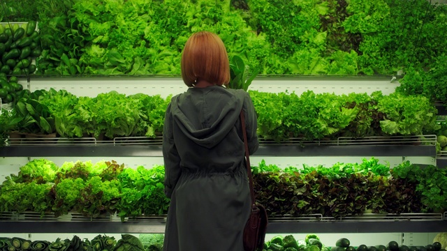 Video Reference: Nature, Green, Garden, Botany, Outerwear, Botanical garden, Shrub, Leaf, Tree, Plant
