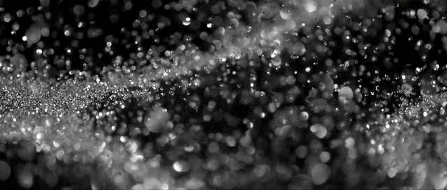 Video Reference: Water, Black, Nature, Moisture, Black-and-white, Monochrome photography, Monochrome, Macro photography, Glitter, Dew
