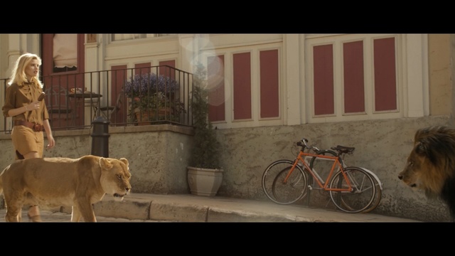 Video Reference: mammal, screenshot