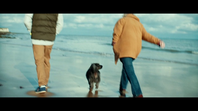 Video Reference: Fun, Dog, Dog breed, Canidae, Dog walking, Vacation, Human, Walking, Friendship, Carnivore