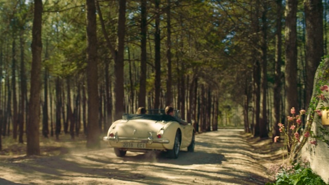 Video Reference: Vehicle, Car, Tree, Classic car, Classic, Coupé, Woodland, Plant, Sports car, Forest, Person
