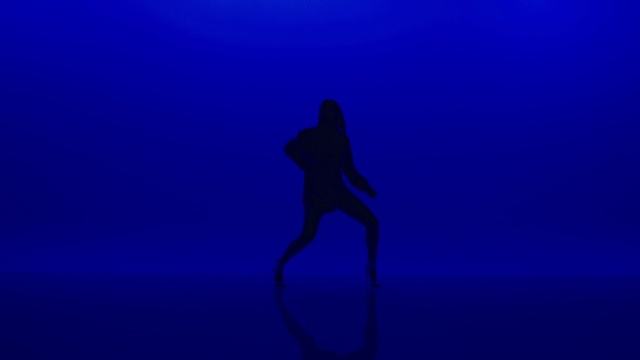 Video Reference: Blue, Electric blue, Silhouette, Cobalt blue, Water, Sky, Backlighting, Photography, Darkness, Dancer